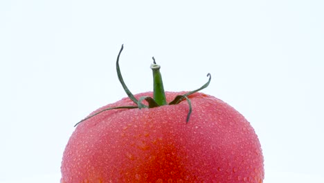 macro shooting of upper part of a big red tomato with water drops. slowly rotating on the turntable isolated on the white background. close-up