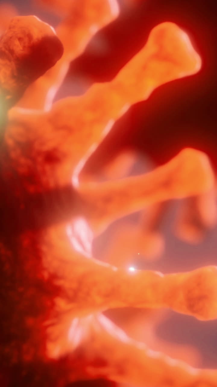 Explorando los intrincados detalles de un microorganismo capturado con colores vibrantes