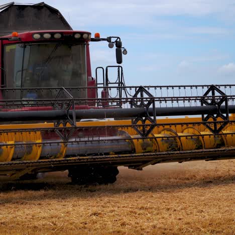 harvester working on wheat field