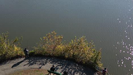 A-top-down-shot-directly-above-a-park,-as-people-fish-in-a-green-pond-on-a-sunny-day