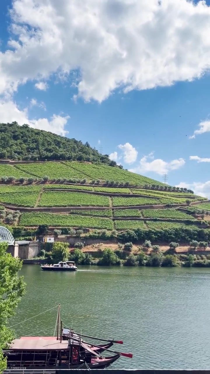 Panorama malowniczej rzeki Douro na północy Portugalii, słynny punkt orientacyjny. Most przecinający zielone wzgórza z winnicami i winiarniami na wsi, kwintesencja miasteczka Pinhao podczas letnich wakacji