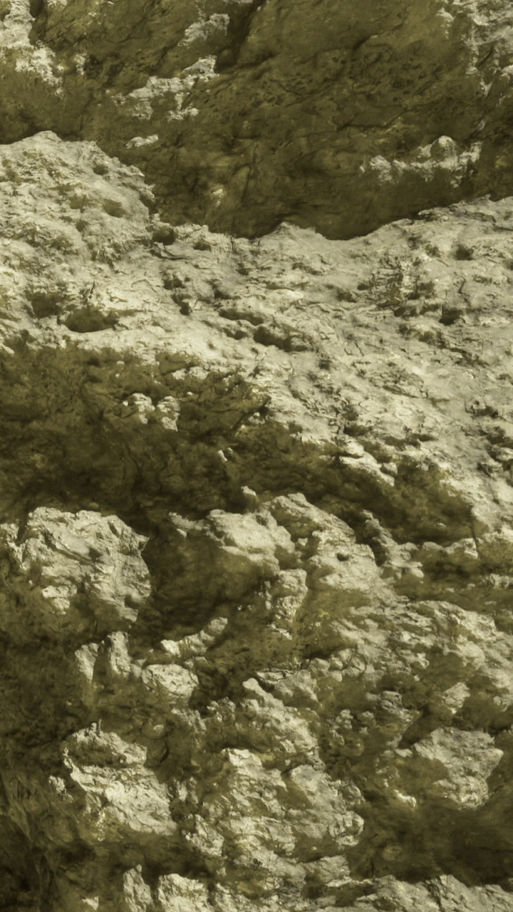 Exploring the unique textures of natural rock formations under bright light