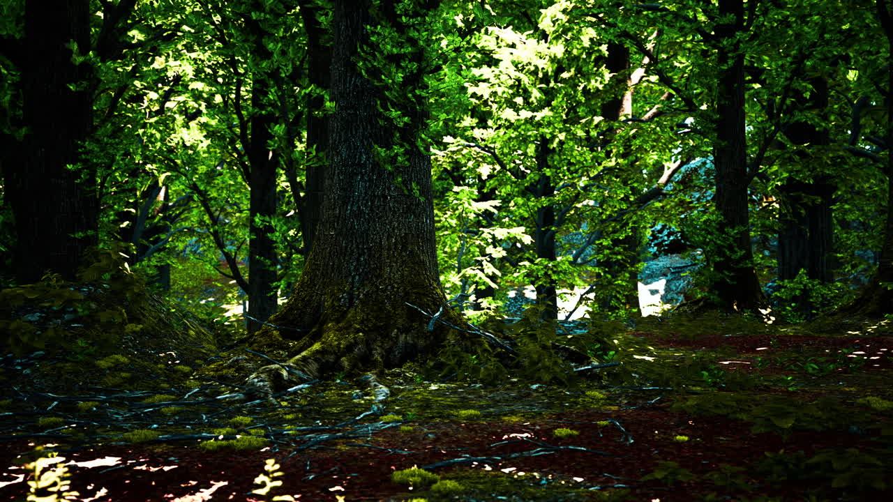 un hermoso musgo verde brillante creció cubriendo las piedras ásperas