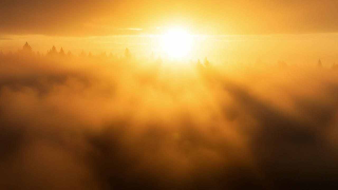 A Breathtaking Sunrise Over a Misty Forest: Stunning Golden Light Illuminates the Fog, Creating a Serene and Peaceful Atmosphere in Nature's Early Morning Glow