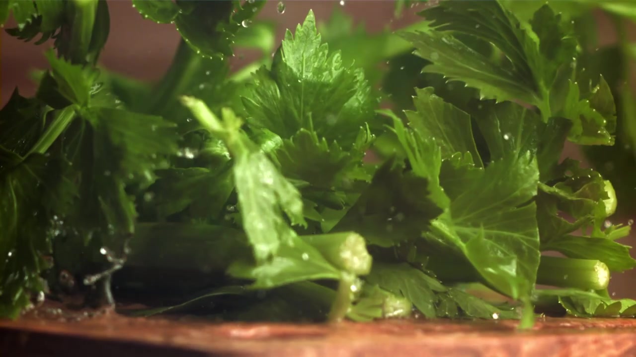 Foglie fresche di sedano verde che cadono e schizzano nell'acqua al rallentatore
