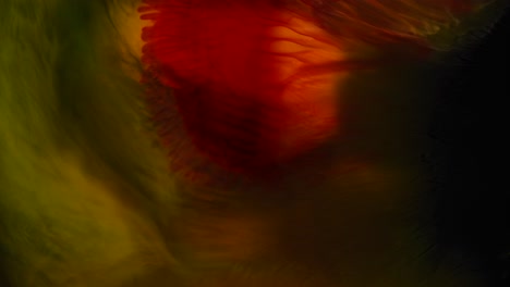 intensidad rojo oscuro en una complejidad inquietante