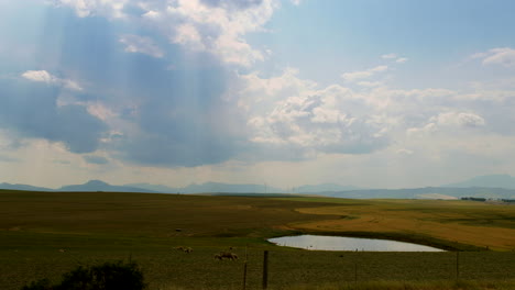 Panoramic-farm-landscape-shot---sheep-grazing-close-to-small-dam-with-sun-rays-breaking-through-clouds-onto-wind-turbines