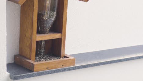 Close-up-of-chickadee-taking-sunflower-seed-from-bird-feeder,-then-flying-away