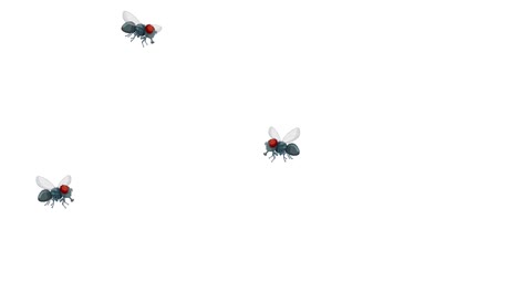 animated fruit flies moving across a white background