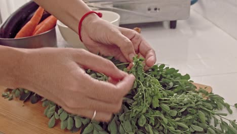 Candid-moment-of-sorting-and-picking-moringa-or-malungay-leaves-to-be-dried-and-turn-into-herbal-tea-showing-holistic-health-and-wellness