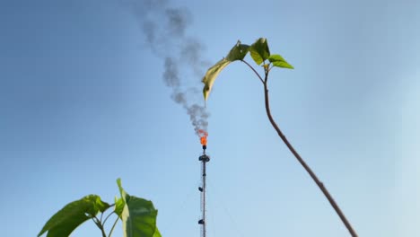 Static-low-angle-shot-of-Gas-flare-flame-and-smokestack,-plants-on-foreground