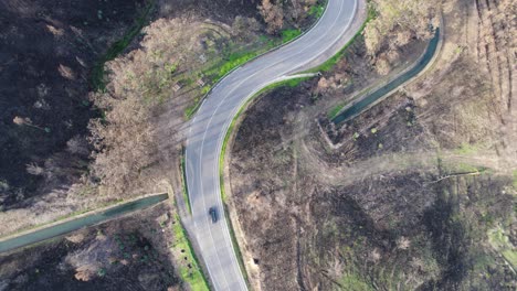 winding road through algarve's burned forest landscape - aerial