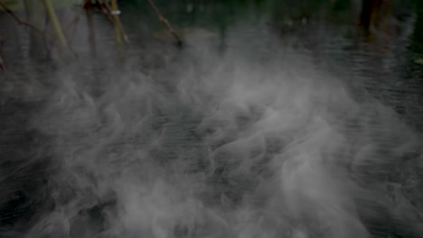 misteriosa niebla nebulosa flotando sobre la superficie del agua