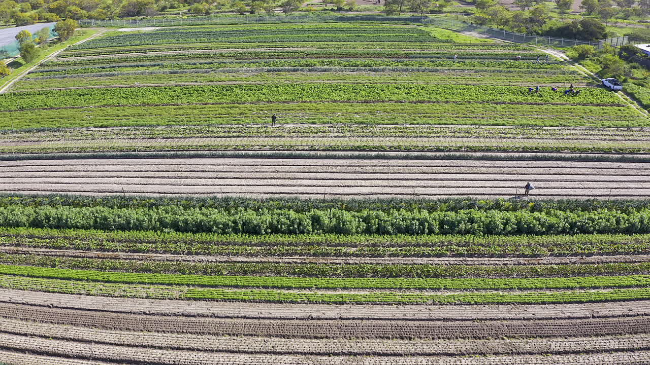 땅을 가꾸고, 땅이 당신을 위해 일하게 하세요.