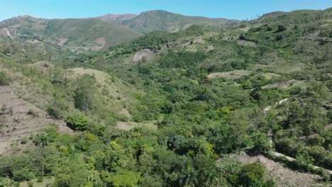 Rica-Vegetación-En-La-Frontera-Dominicano-haití-Cerca-De-La-Ciudad-De-Elias-Pina-De-La-República-Dominicana