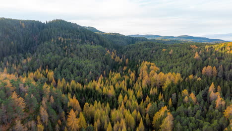 Toma-Aérea-Revela-Un-Lejano-Paisaje-Otoñal