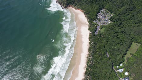 aerial view of a secluded beach with lush green forest