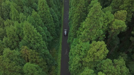 vista superior de un coche conduciendo en la carretera en medio del bosque en la isla de las azores, aérea