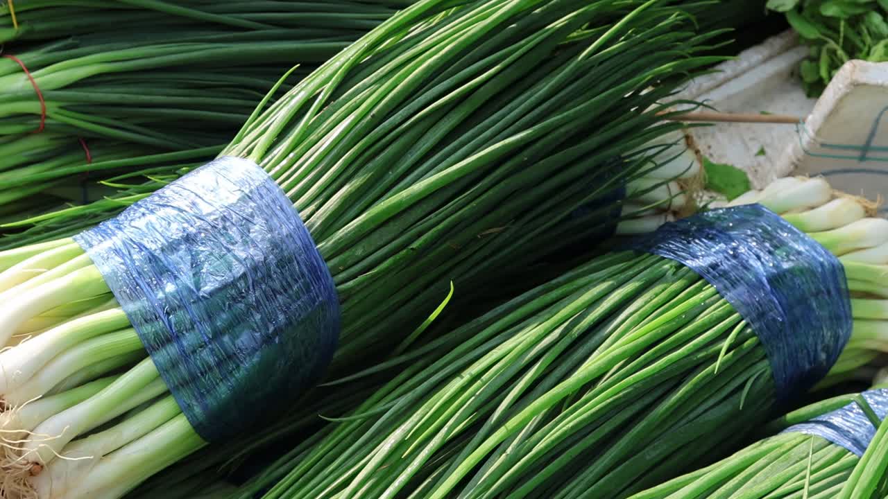 Close-up of gloved hands organizing neatly tied green onion bundles on a surface.