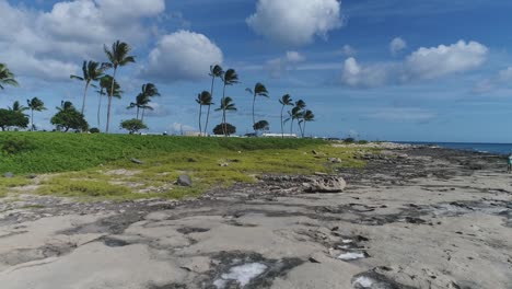 Flyover-Rocky-coastline-towards-palm-trees-on-,-Hawaiian-Shore-Ko-Olina,-Oahu