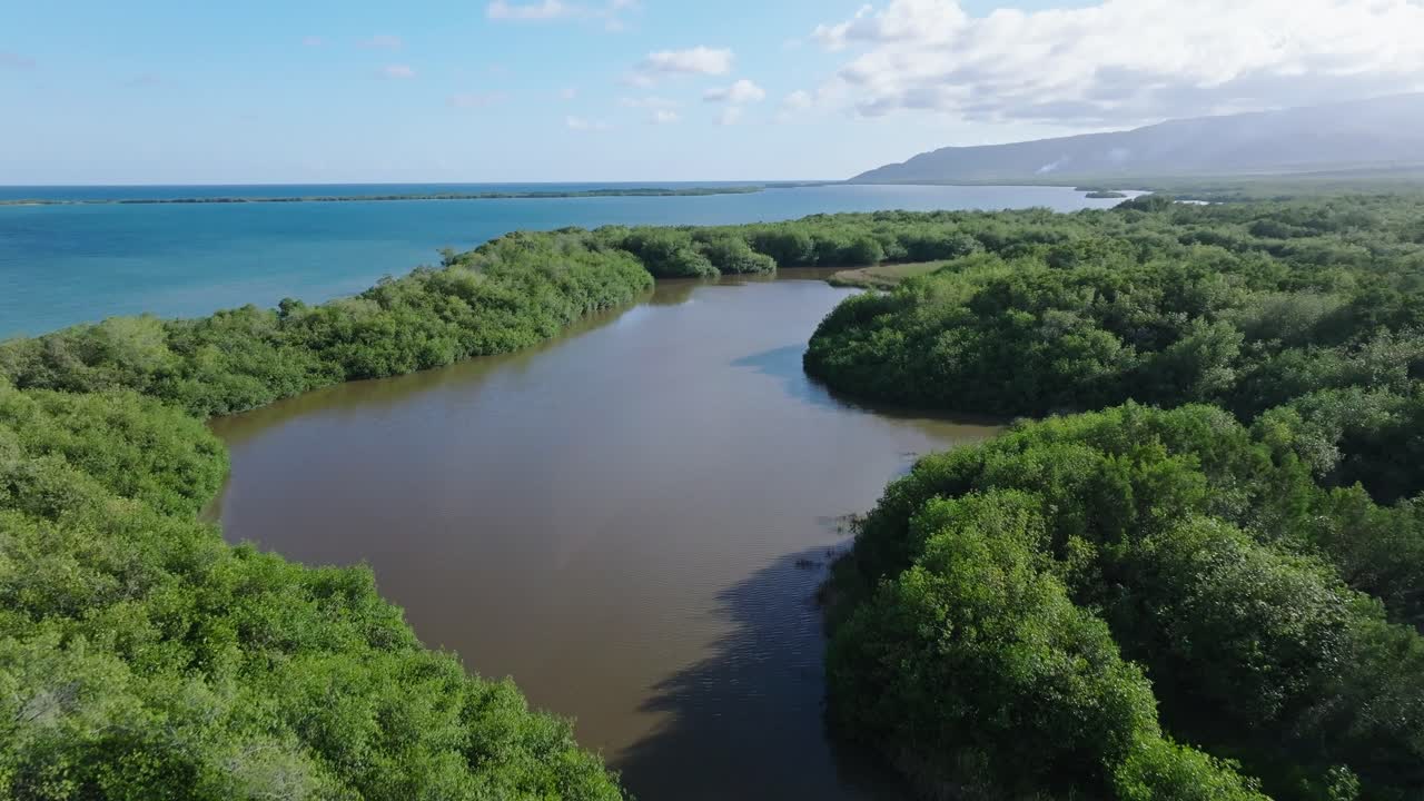 vuelo aéreo de drones sobre el río marrón rodeado de manglares y el azul mar del caribe en el fondo - azua, república dominicana