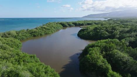 Aerial-drone-flight-over-brown-river-surrounded-by-Mangrove-plants-and-blue-Caribbean-sea-in-Background---Azua,-Dominican-Republic