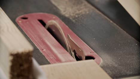 cutting wooden plank by electric saw