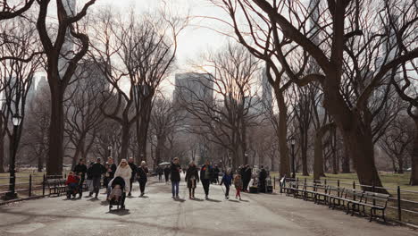 central park in winter, new york city