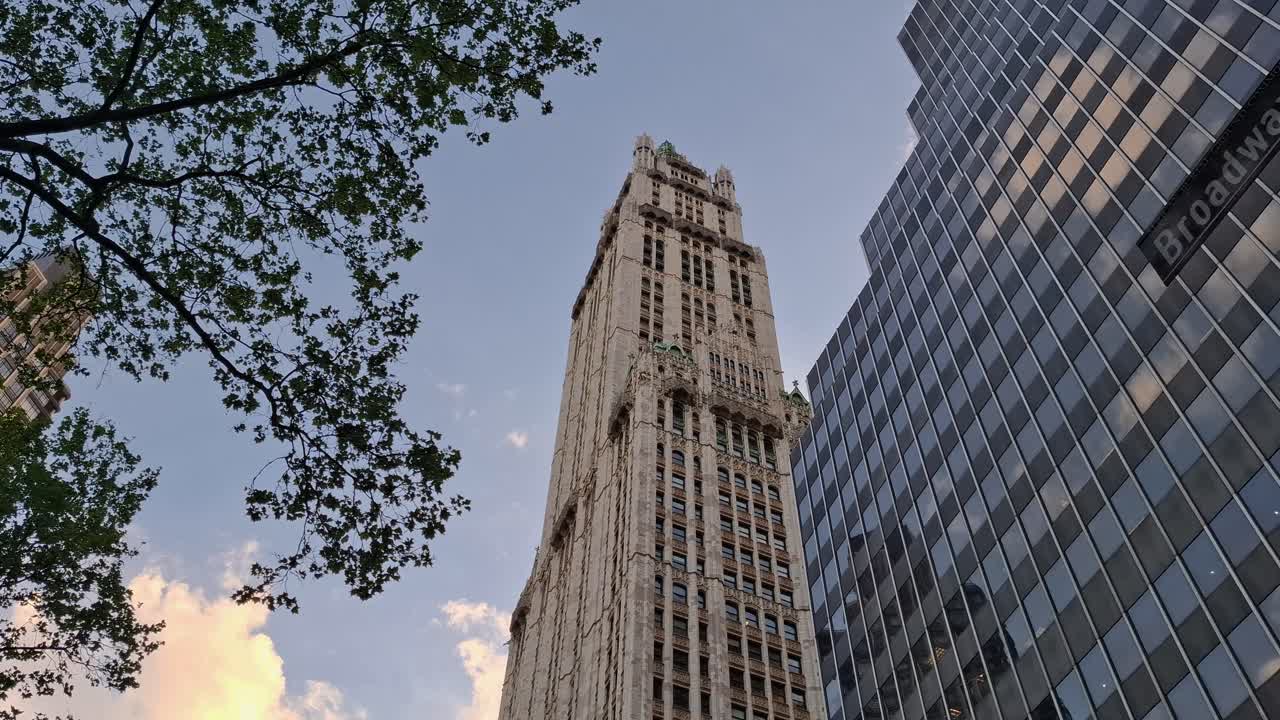 A view looking up at a historic skyscraper and a modern glass building along Broadway in New York, United States, framed by tree branches against the evening sky