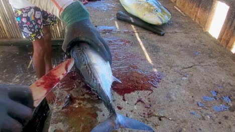 Close-up-Hands-man-with-gloves-clean-and-cut-fish-on-table,-tropical-fishes