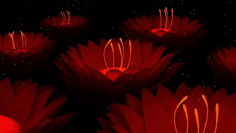 glowing red flowers on a black background