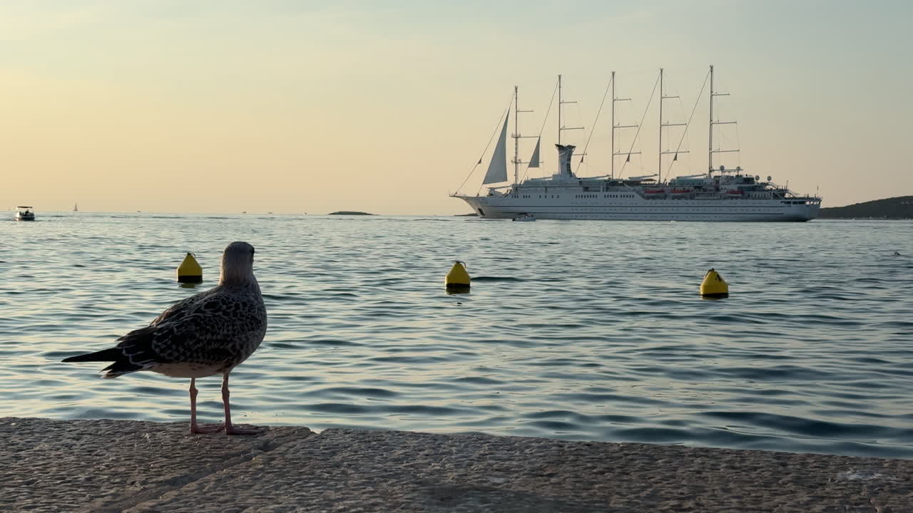 A seagull stands on the pier as a majestic cruise ship sails by during sunset in Rovinj, Croatia. Calm Adriatic waters reflect warm evening light