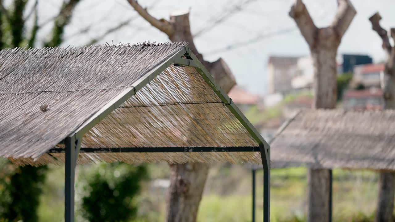 close up of rustic straw roof structures in green rural area with trees and distant houses