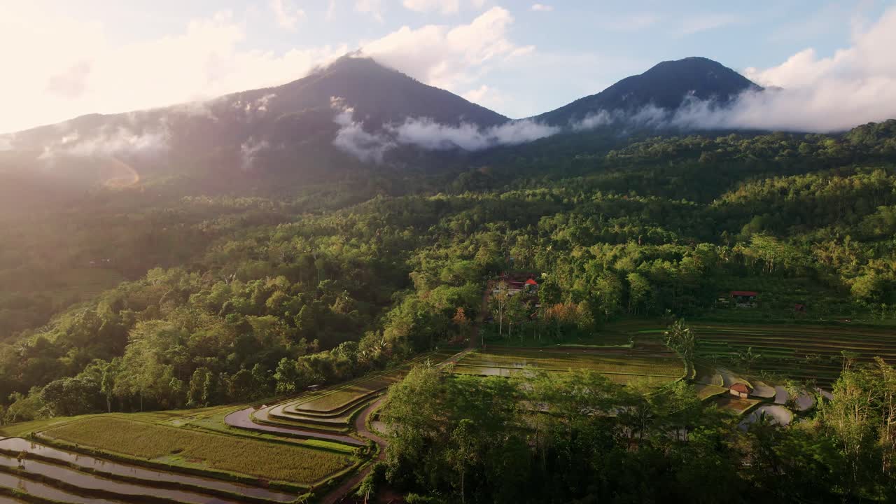 majestuosas tierras altas e impresionantes paisajes de terrazas de arroz jatiluwih, catalogadas por la unesco, en el norte de bali, indonesia, en un día soleado