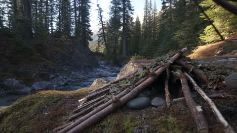 building a survival shelter by a forest river