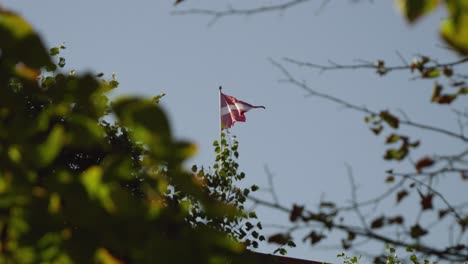 beautiful latvian national flag waving framed between trees against blue sky