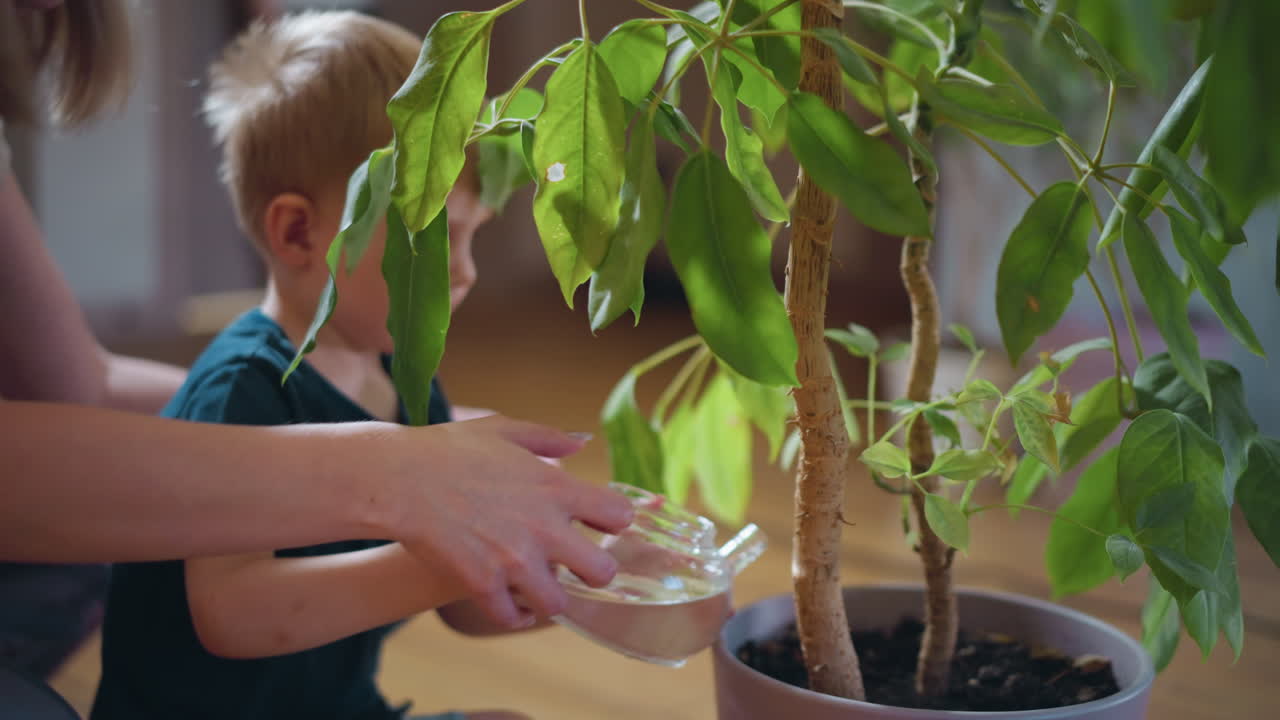 Young boy watering green potted plant indoors using transparent glass teapot, learning responsibility, engaging in eco friendly activity, nurturing growth, childhood education about nature, home gardening