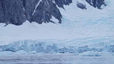 Glaciar-Azul-De-La-Antártida-Y-Aves-Marinas-Volando-En-Un-Paisaje-Costero,-Aves-Marinas-En-Vuelo-En-Invierno-Con-Glaciar-Desembocando-En-El-Océano-Y-El-Mar,-Vida-Salvaje-Costera-En-La-Hermosa-Costa-De-La-Antártida