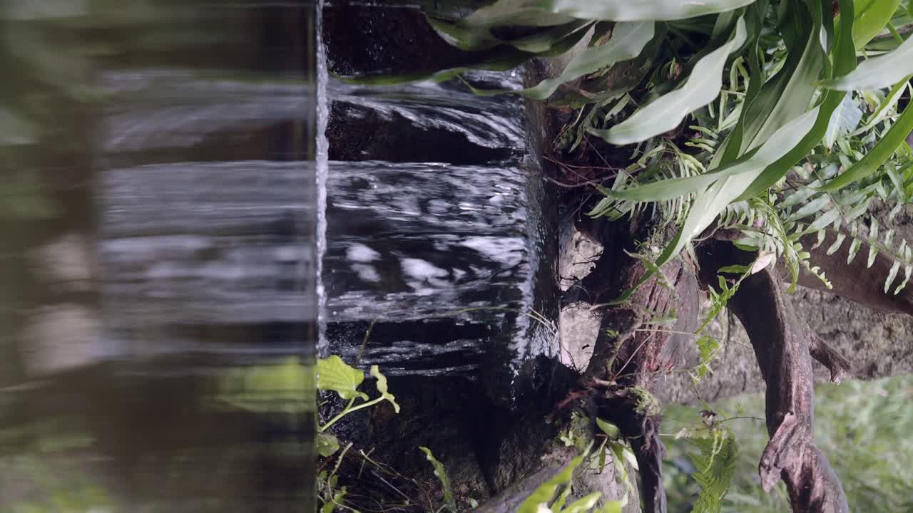 Serene Waterfall Amidst Lush Greenery