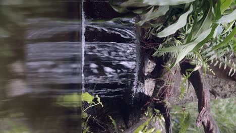 serene waterfall amidst lush greenery