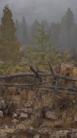 paisaje forestal brumoso con una vieja valla de madera