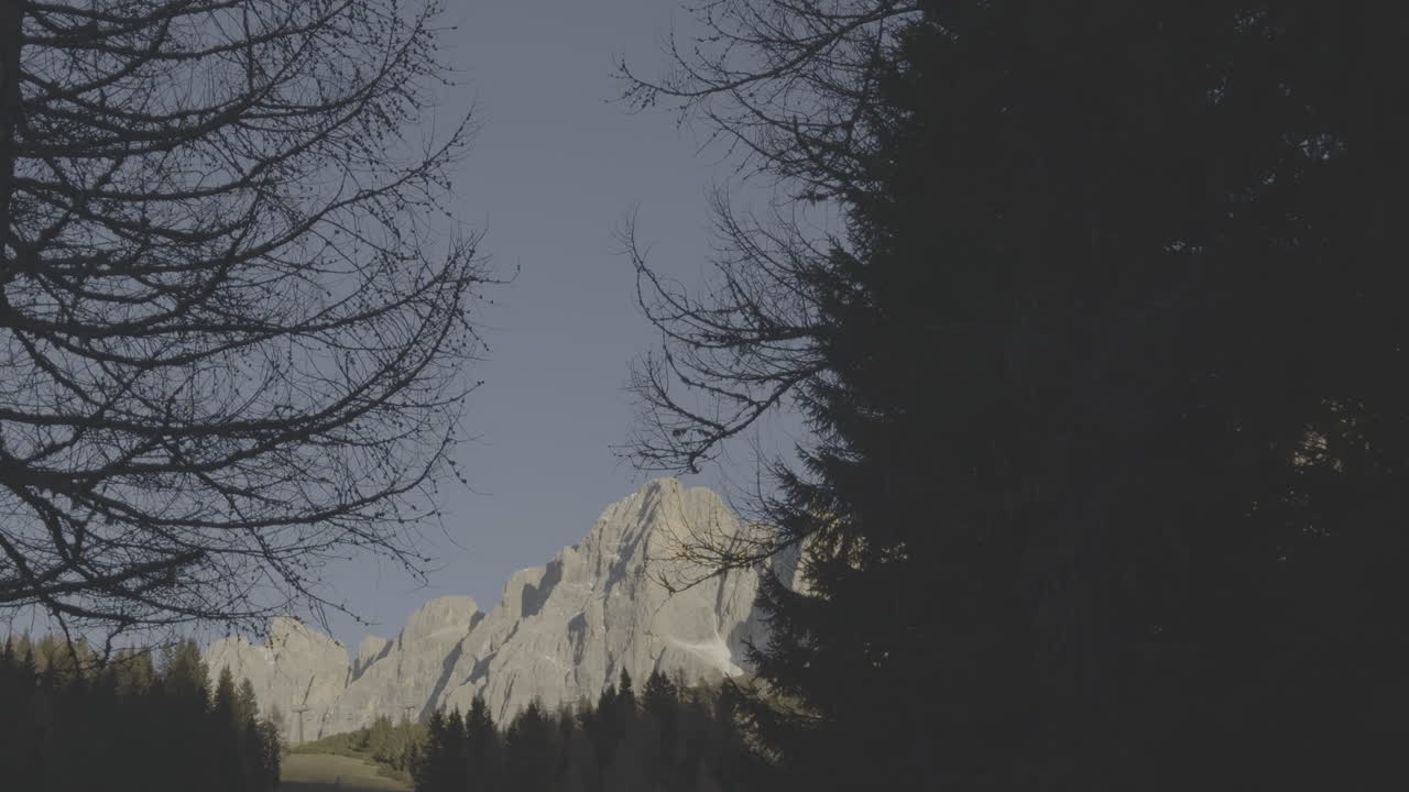 Mountain view through trees