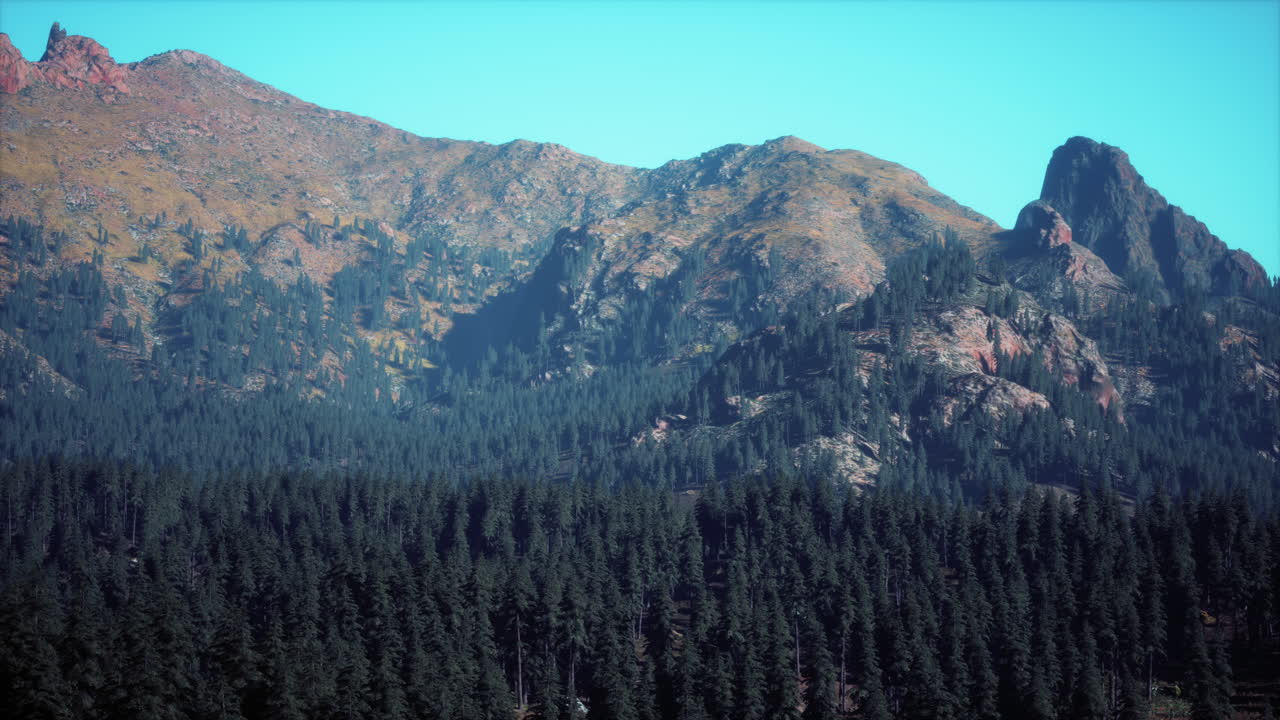 majestuosas montañas con bosque en primer plano en canadá