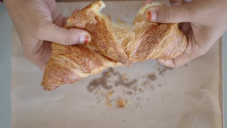 hands holding and breaking a croissant