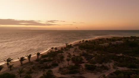 golden sunset lights a private island with palm trees during a drone flight from sea to shore