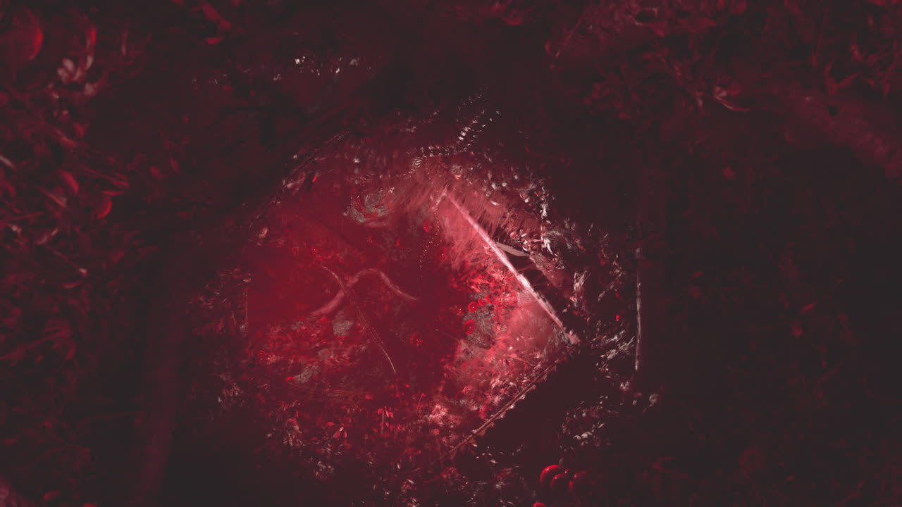 Red Ice Cube on Dark Background