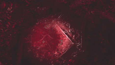 red ice cube on dark background