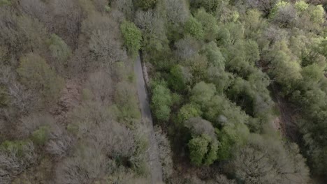 Imágenes-Aéreas-Que-Vuelan-Sobre-Un-Camino-Rural-Que-Serpentea-A-Través-De-Un-Espeso-Bosque