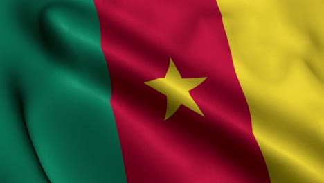 cameroon flag