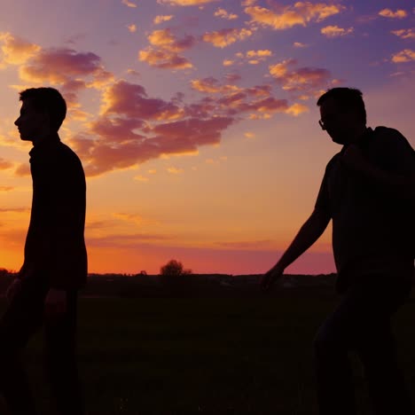 father and son are walking along the field at sunset 1